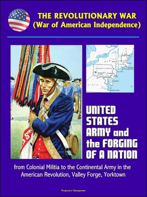 cover image of The Revolutionary War (War of American Independence)